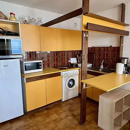 Avec Parking Prive Et Animaux Admis A 50m De La - - Fr-1-225-102 Apartment Argeles-sur-Mer