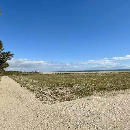 Avec Parking Prive Et Animaux Admis A 50m De La - - Fr-1-225-102 *