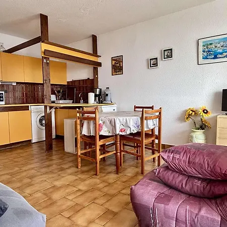 Apartment Avec Parking Prive Et Animaux Admis A 50m De La - - Fr-1-225-102