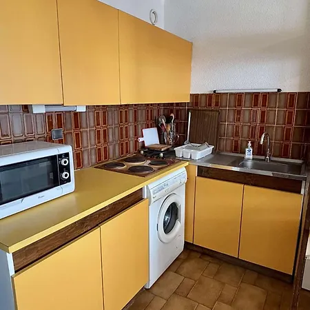 Avec Parking Prive Et Animaux Admis A 50m De La - - Fr-1-225-102 Apartment Argeles-sur-Mer